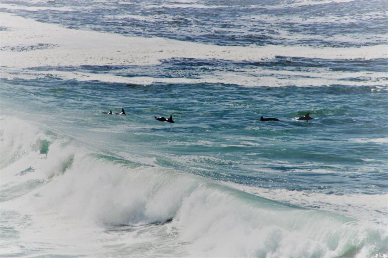 Misty Waves Boutique Hotel Hermanus Exterior foto